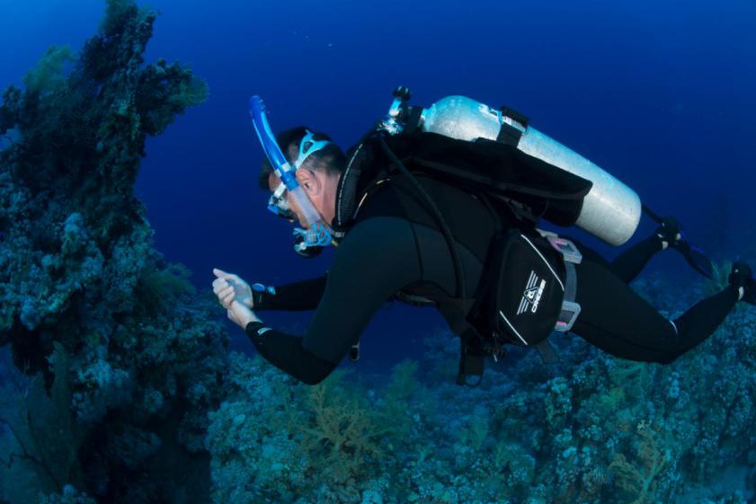 ¿Qué chaleco de buceo me conviene comprar? 6 Semi ala Cressi Commander
