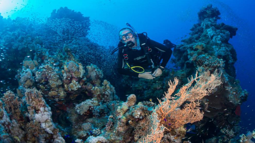 ¿Qué chaleco de buceo me conviene comprar? 10 (Cressi Aquaride 2.0 con gran cantidad de anillas para accesorios