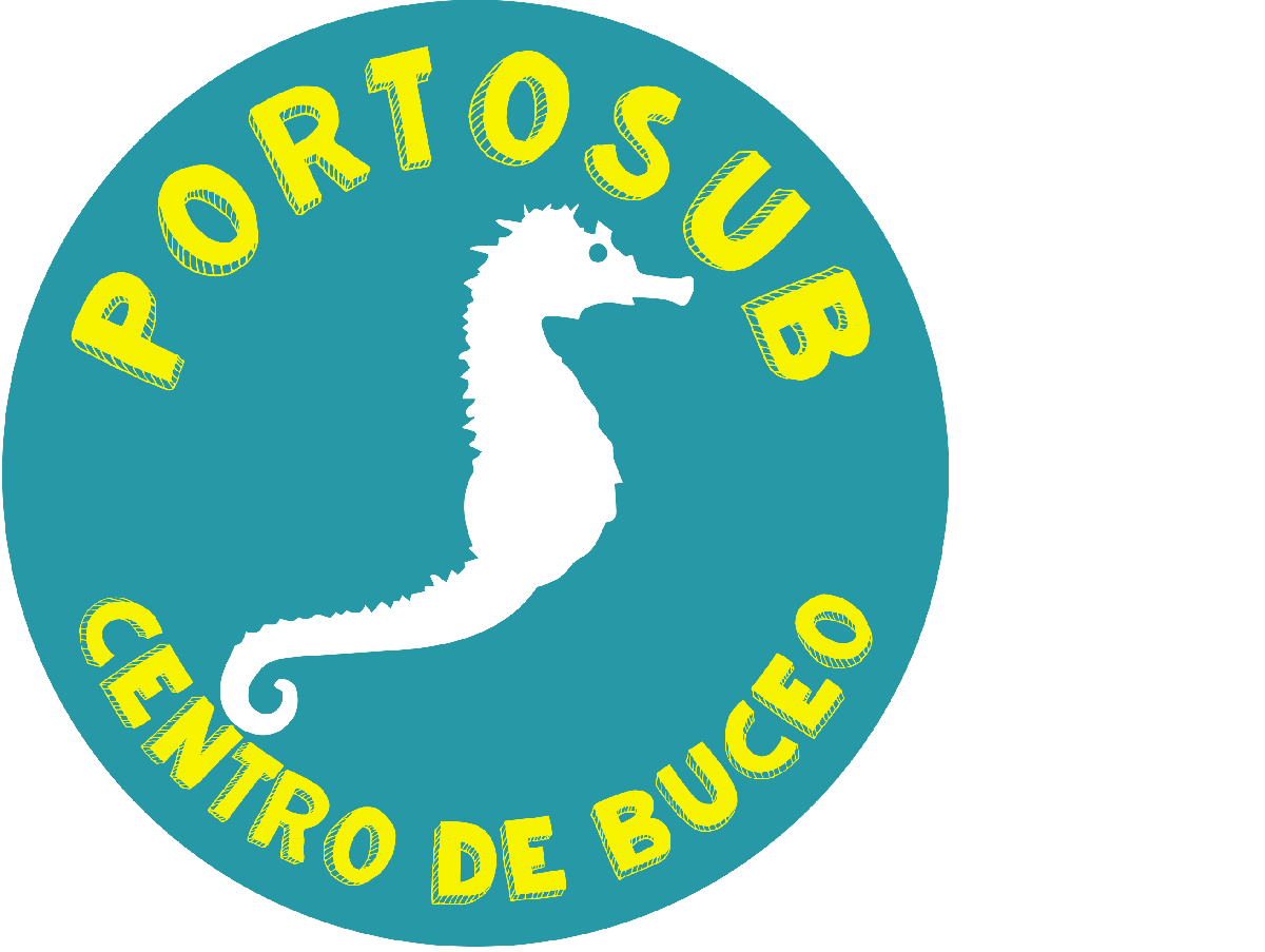 Pilar Orbita Montaña Portosub Tienda de Buceo y Pesca Submarina